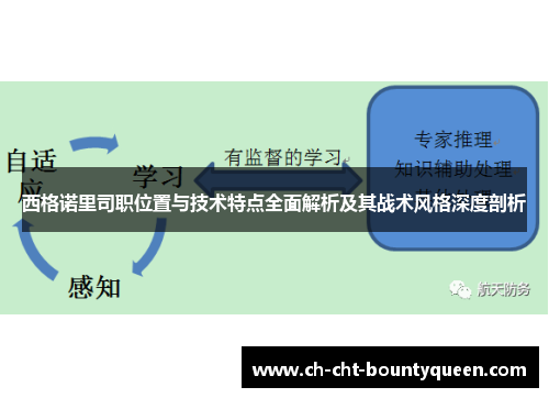 西格诺里司职位置与技术特点全面解析及其战术风格深度剖析