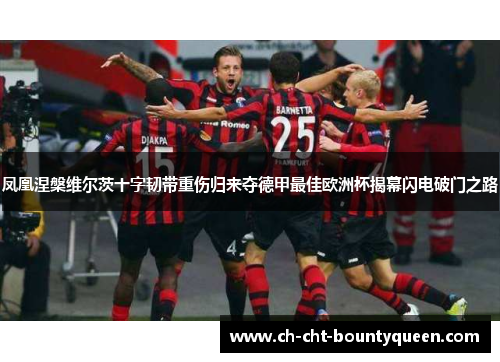 凤凰涅槃维尔茨十字韧带重伤归来夺德甲最佳欧洲杯揭幕闪电破门之路