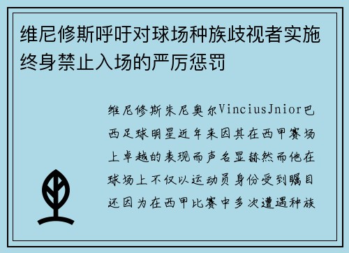 维尼修斯呼吁对球场种族歧视者实施终身禁止入场的严厉惩罚 维尼修斯呼吁对球场种族歧视者实施终身禁止入场的严厉惩罚