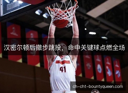 汉密尔顿后撤步跳投，命中关键球点燃全场
